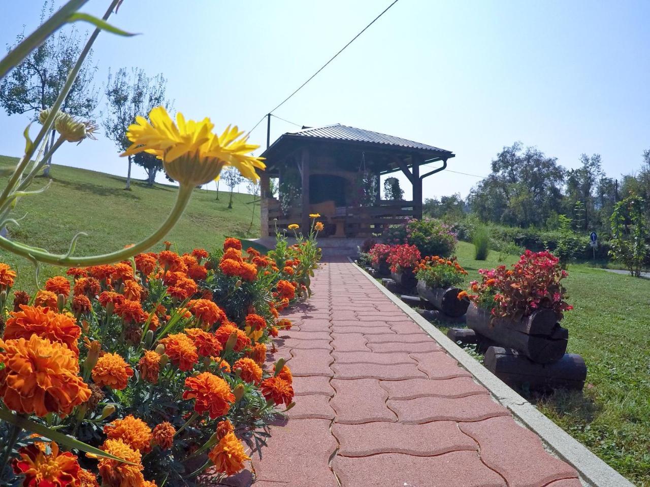 Apartment Ante Slunj Luaran gambar